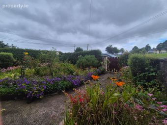 12 Tom Clarke Place, Ballina, Ballina, Co. Mayo - Image 3