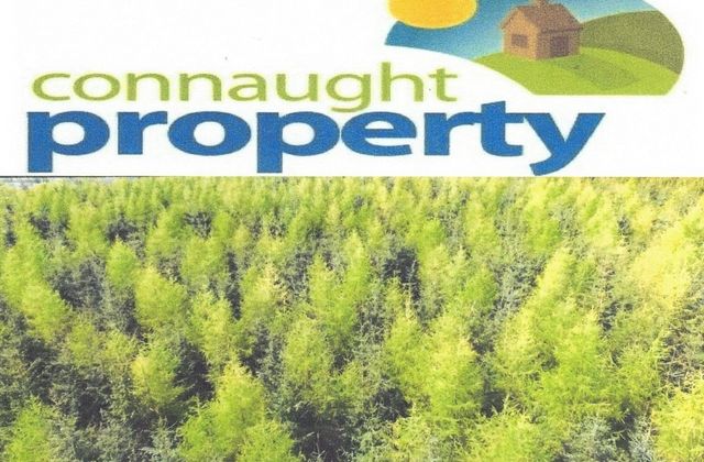 Cloonagh, Loughglynn, Co. Roscommon - Click to view photos