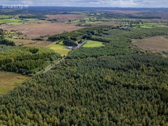 Circa 160-acre Landholding At Clontarsna, Castlerea, Co. Roscommon - Image 4