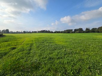 Ballymascanlon Dundalk Co Louth, Dundalk, Co. Louth - Image 3