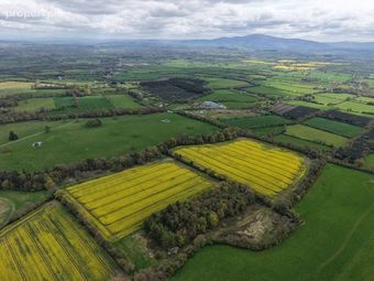Silverfort, Fethard, Co. Tipperary - Image 4