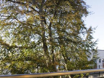 Apartment 64, Redwood, Ridge Hall, Shanganagh Road, Ballybrack, Ballybrack, Co. Dublin - Image 3