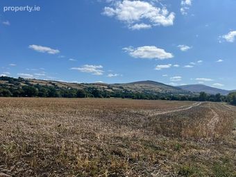 Ballaghmore, Ballon, Co. Carlow - Image 3