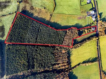 Clonmore, Cappincur, Tullamore, Co. Offaly, Geashill, Co. Offaly - Image 3