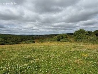 House &amp; Lands Knockreagh, Dysart, V95 Fw50, Mauricesmills, Co. Clare - Image 4