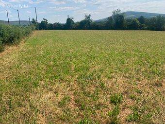 Ballinagilky, Hacketstown, Co. Carlow - Image 5