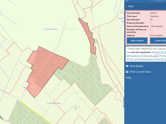 Cornapark, Edgeworthstown, Co. Longford - Image 2