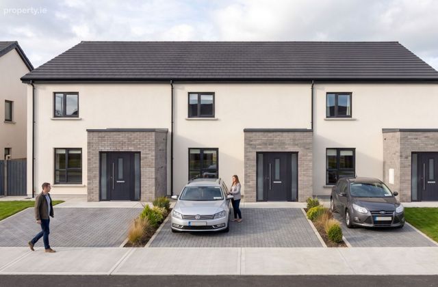Type D, Corbally, Co. Limerick - Click to view photos