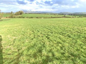 Tully 35 Ht67, Glenroe, Co. Limerick - Image 2