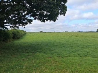 Lands Downings South, Prosperous, Co. Kildare - Image 5