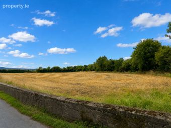 C. 21 Acres, Blackchurch &amp; Tuckmilltown, Kill, Co. Kildare - Image 2