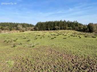 Ballydrimnagh, Streamstown, Tynagh, Co. Galway - Image 2