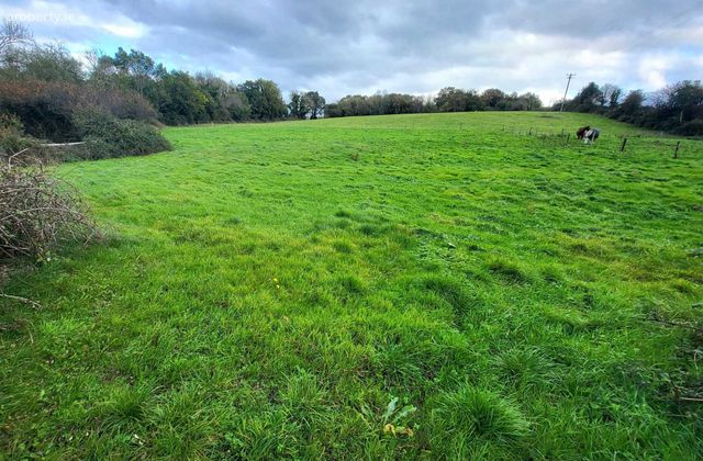 Cloonoolia South, Mountshannon, Co. Clare - Click to view photos