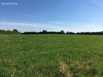 Garraun, Two-mile-borris, Thurles, Co. Tipperary - Image 2