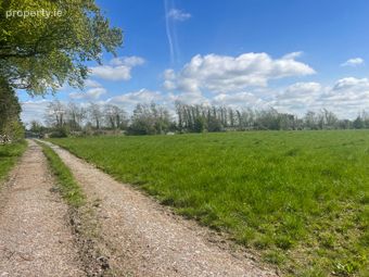 Windfield Demesne , Menlough , Ballinasloe , Co. Galway, Menlough, Co. Galway - Image 4