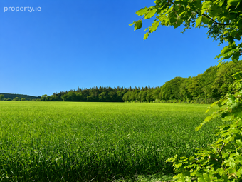 130 Acres, Brackna, Athy, Co. Kildare, Stradbally, Co. Laois - Image 4