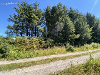Site At Rossmore, Knockperry, Newcastle, Co. Tipperary, Newcastle, Co. Tipperary - Image 2