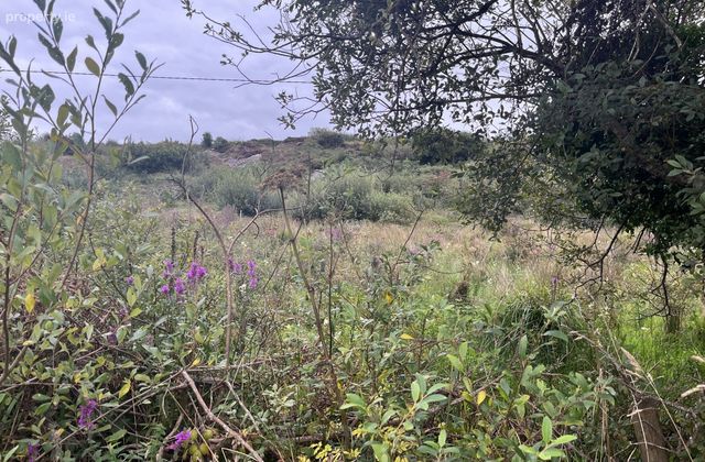 Ref 1081 - Site At Reen, Brackaharagh, Caherdaniel, Co. Kerry - Click to view photos