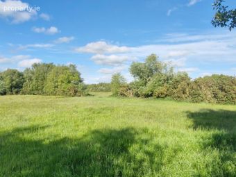 Ballyoughter, Rathcabbin, Co. Tipperary