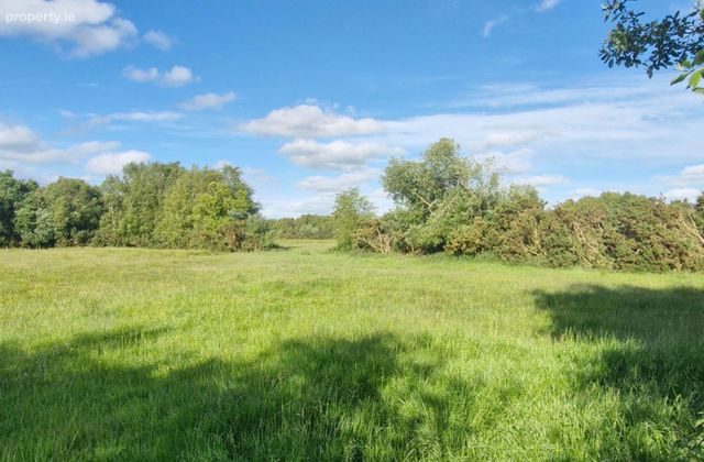 Ballyoughter, Rathcabbin, Co. Tipperary - Click to view photos