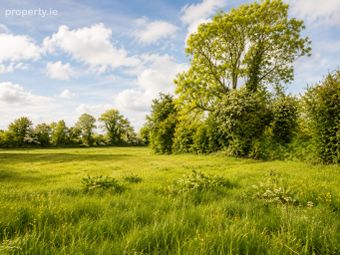 Ballyduggan, Mullinahone, Co. Tipperary - Image 5