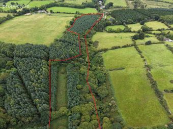 Cappadrummin, Killusty, Fethard, Co. Tipperary, Fethard, Co. Tipperary