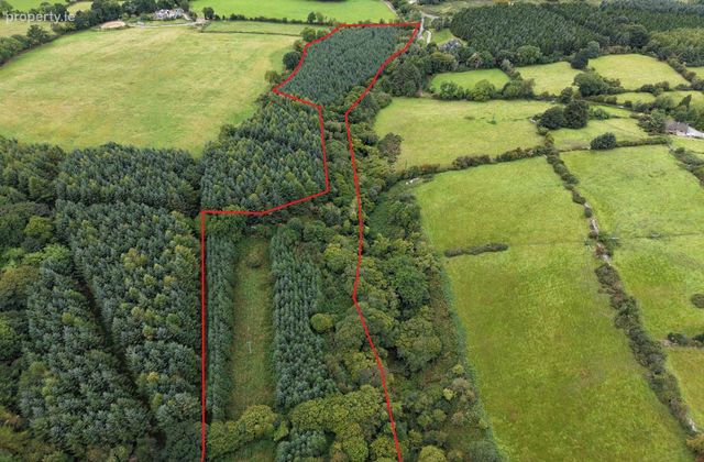 Cappadrummin, Killusty, Fethard, Co. Tipperary, Fethard, Co. Tipperary - Click to view photos