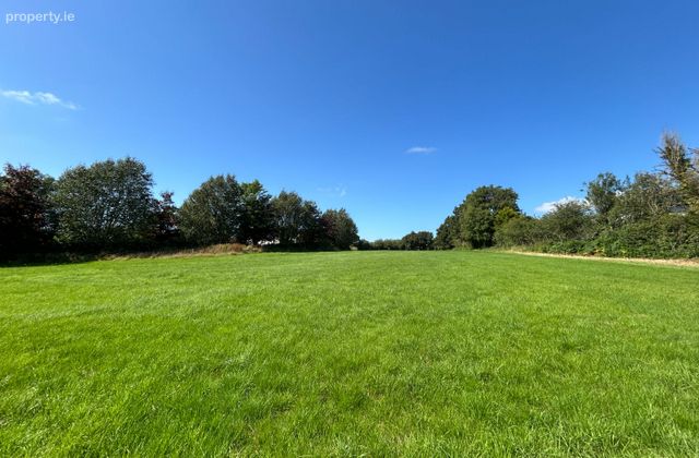 Site At Garrynatineel, Ballina, Co. Tipperary - Click to view photos