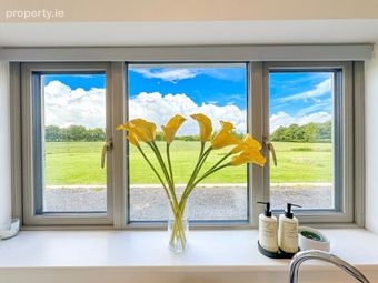 Yellowbog Common, Kilcullen, Co. Kildare - Image 5