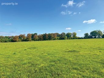C. 32 Acres, Moorhill, Brannockstown, Co. Kildare - Image 5