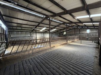 Thomastown, Kilfinane, Co. Limerick, Kilfinane, Co. Limerick - Image 3