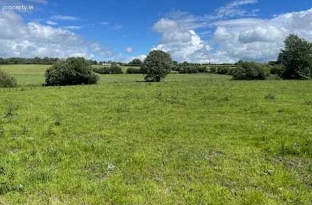 Grangemockler, Carrick-on-suir, Co. Tipperary, Grangemockler, Co. Tipperary - Click to view photos
