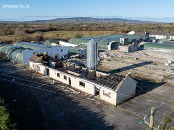 Strokestown Road, Ballyleague, Lanesborough, Co. Roscommon, Lanesborough, Co. Roscommon - Image 5