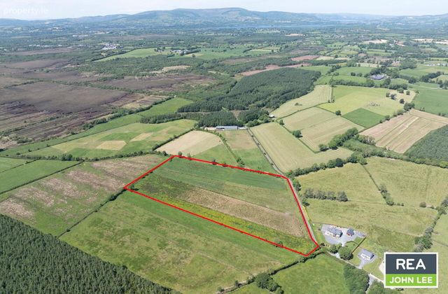 Shower, Newport, Co. Tipperary, Newport, Co. Tipperary - Click to view photos