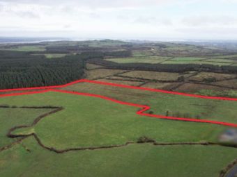 Clounties, Shanagolden, Co. Limerick, Shanagolden, Co. Limerick - Image 2