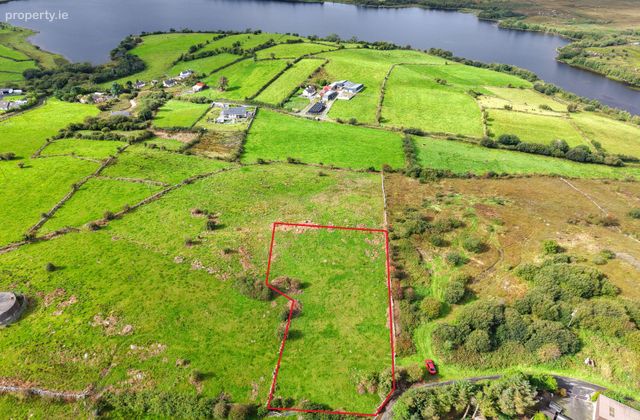 Oughterard, Park, Co. Mayo - Click to view photos