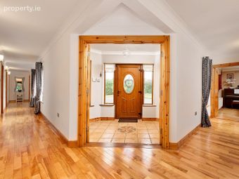 Drehid, Carbury, Carbury, Co. Kildare - Image 4