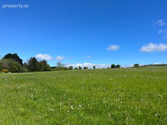 C.39 Acres (15.79ha) Slanelough, Ashford, Co. Wicklow - Image 2