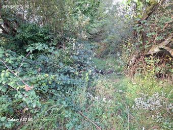 0.23 Acre Plot Of Land, The Raven, Curracloe, Co Wexford, Curracloe, Co. Wexford - Image 3