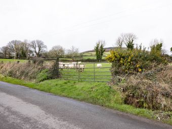 New Deerpark, Bunclody, Co. Carlow, Bunclody, Co. Carlow - Image 3