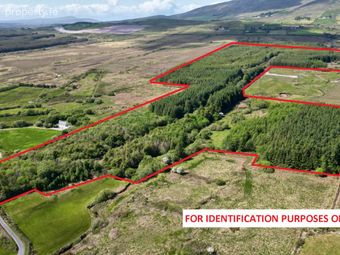 C. 81 Acres Forestry, Maulnahone, Cahersiveen, Co. Kerry - Image 2