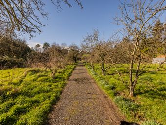 Glencormac Garden, Glencormack South, Kilmacanogue, Co. Wicklow, Killough, Co. Wicklow - Image 4