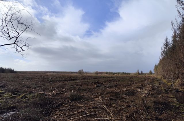 Shragh, Kilrush, Co. Clare - Click to view photos