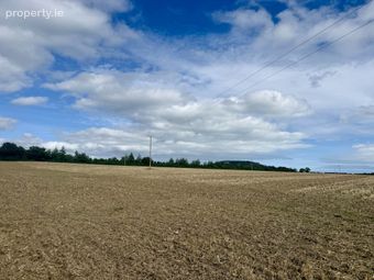 Kilmurry - C. 20 Acres, Gorey, Co. Wexford, Gorey, Co. Wexford - Image 3