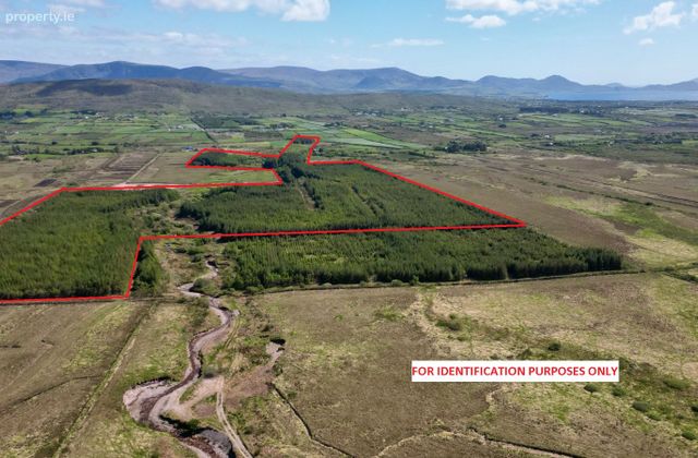 C. 81 Acres Forestry, Maulnahone, Cahersiveen, Co. Kerry - Click to view photos