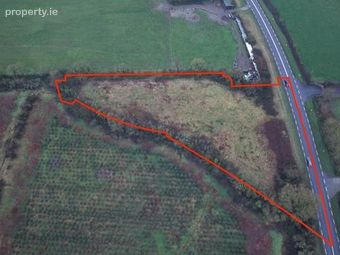 Lands At Creggane, Charleville, Bruree, Co. Limerick - Image 4