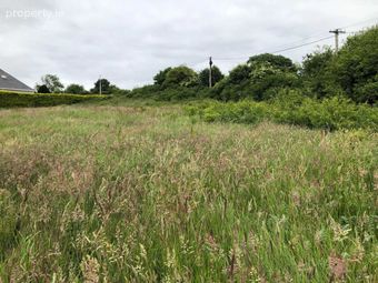 Cathaganstown, Killenaule, Co. Tipperary, Killenaule, Co. Tipperary - Image 3
