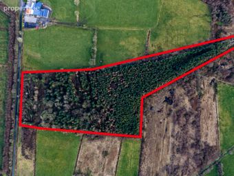 Ballyhanruck, Knockmore, Ballina, Co. Mayo - Image 4