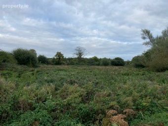 Dromsallagh, Cappamore, Co. Limerick - Image 4