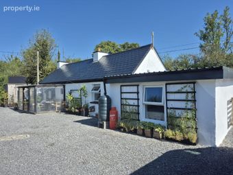 Bella, Frenchpark, Lurgan, Co. Roscommon - Image 2